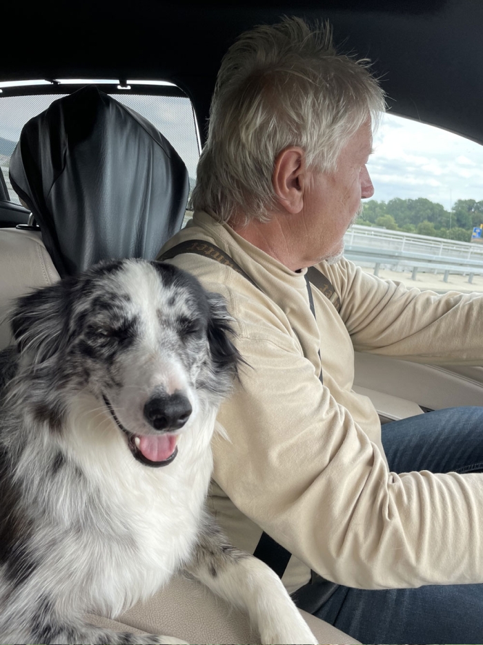 border collie maja 01