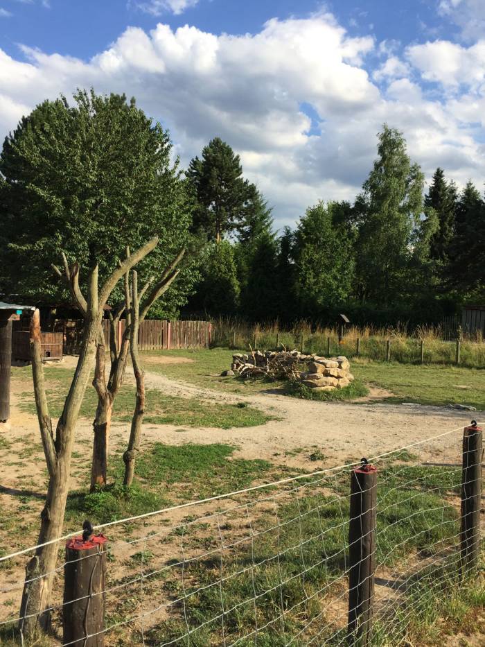 eselranch 02