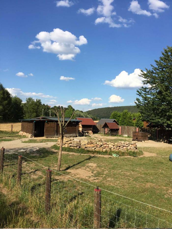 eselranch 10
